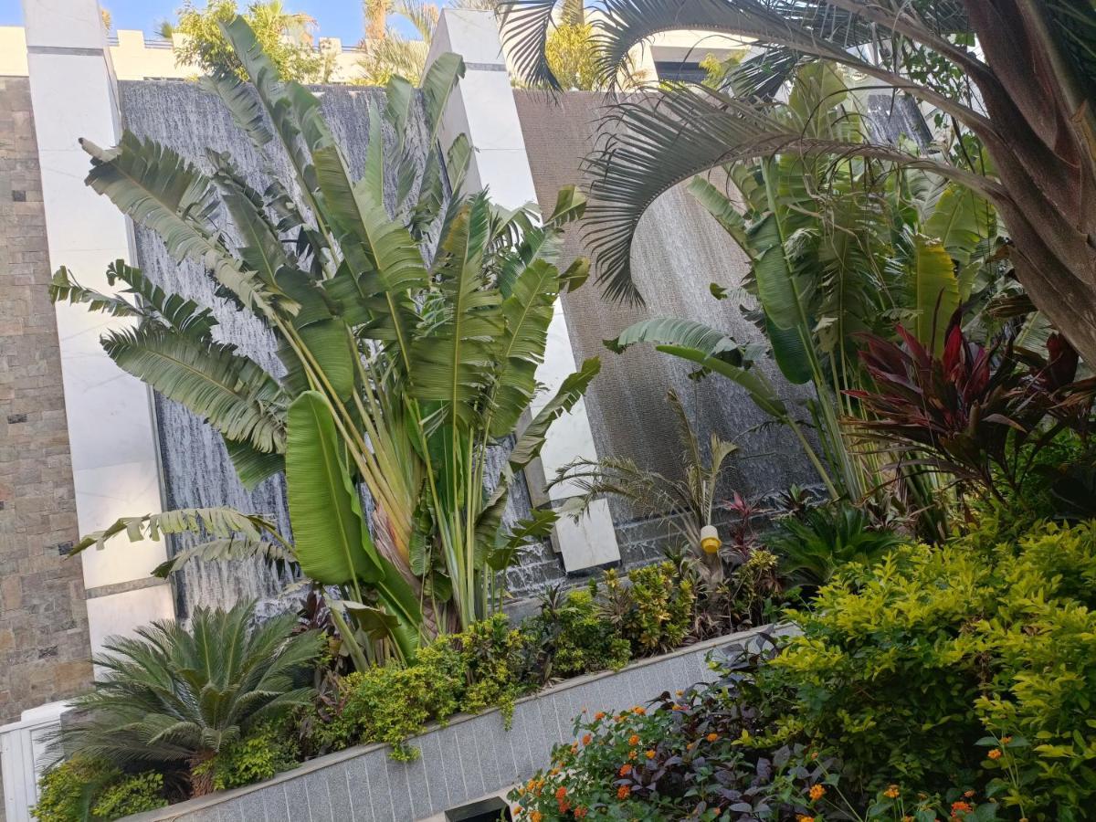 Apartment Sheraton Ocean 203 - Private